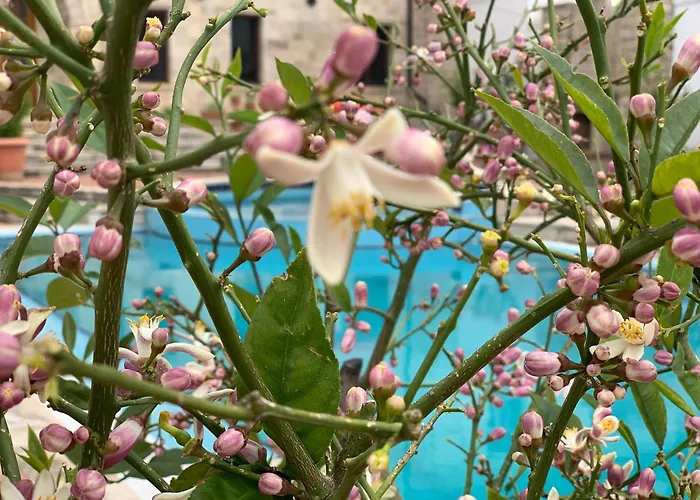 Villa Villa Celaj “The Castle” Kruje