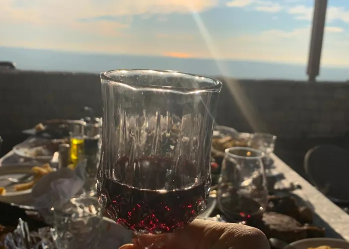 Villa Celaj “The Castle” Villa *